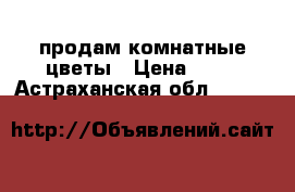 продам комнатные цветы › Цена ­ 50 - Астраханская обл.  »    